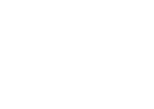 Playfill