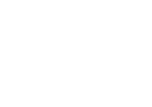 Primedia